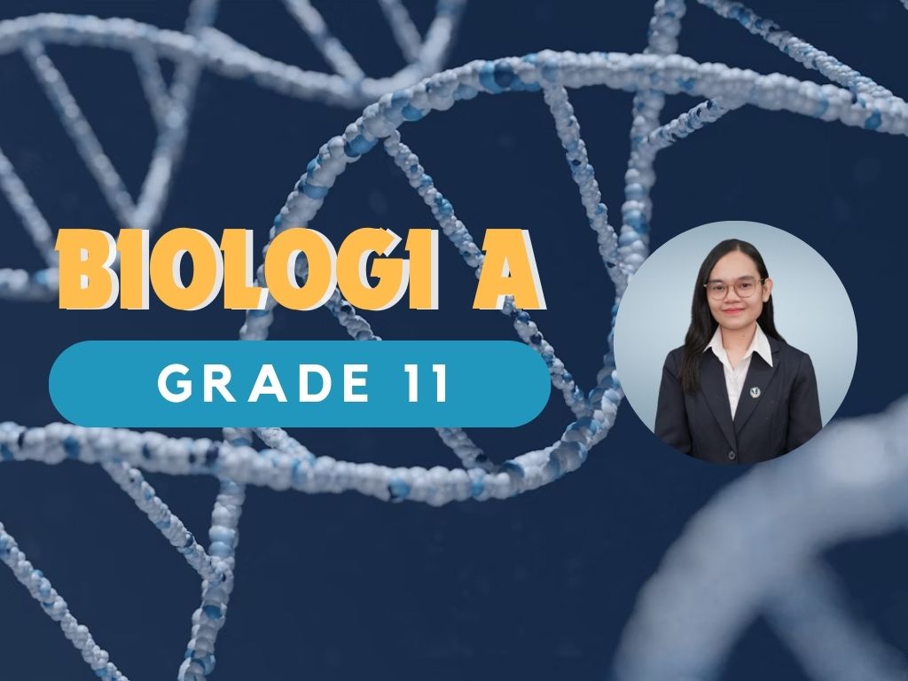 SDH Lippo Karawaci 11 Biologi A Grade 11 Biologi Grade 11 Merdeka-Teori TA24/25