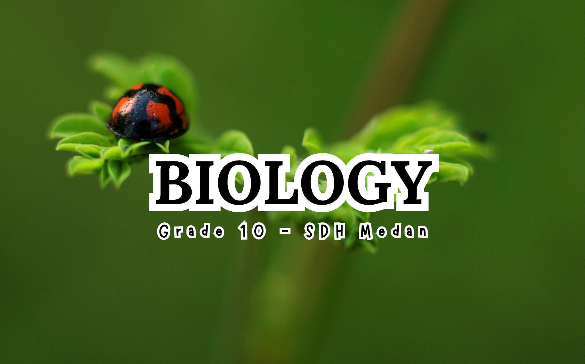 ONE SDH - MEDAN - BIOLOGY - KELAS 10 - TA 25/26